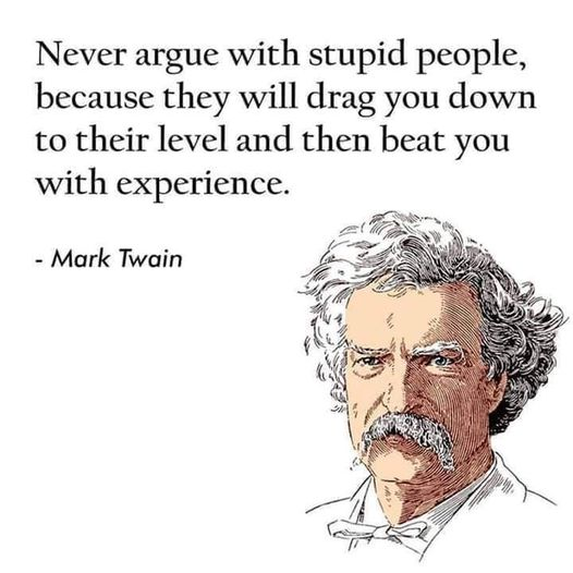 Advice from Mark Twain about Stupid People