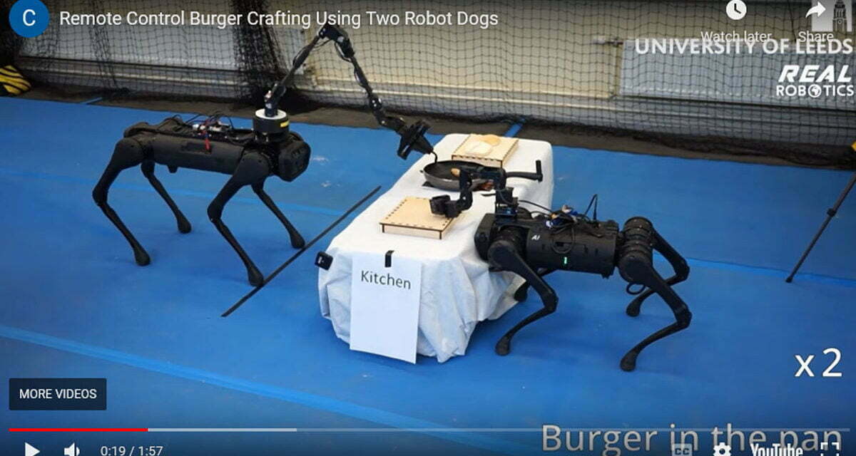 Robot Dogs make a Hamburger