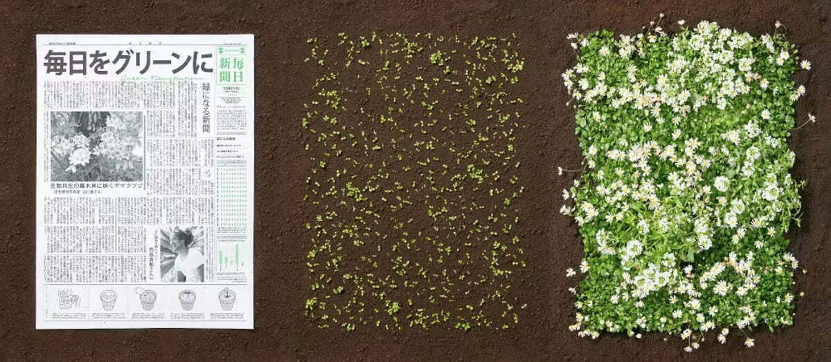 Newspaper with embedded flower seeds?