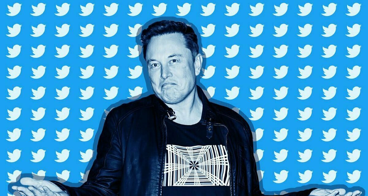 Elon Musk Drops Bid for Twitter
