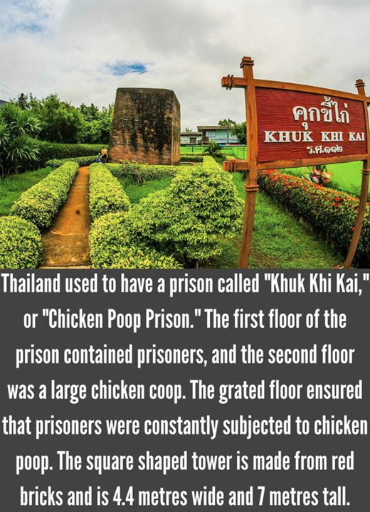 Chicken Poop Prison The Ugly Minute