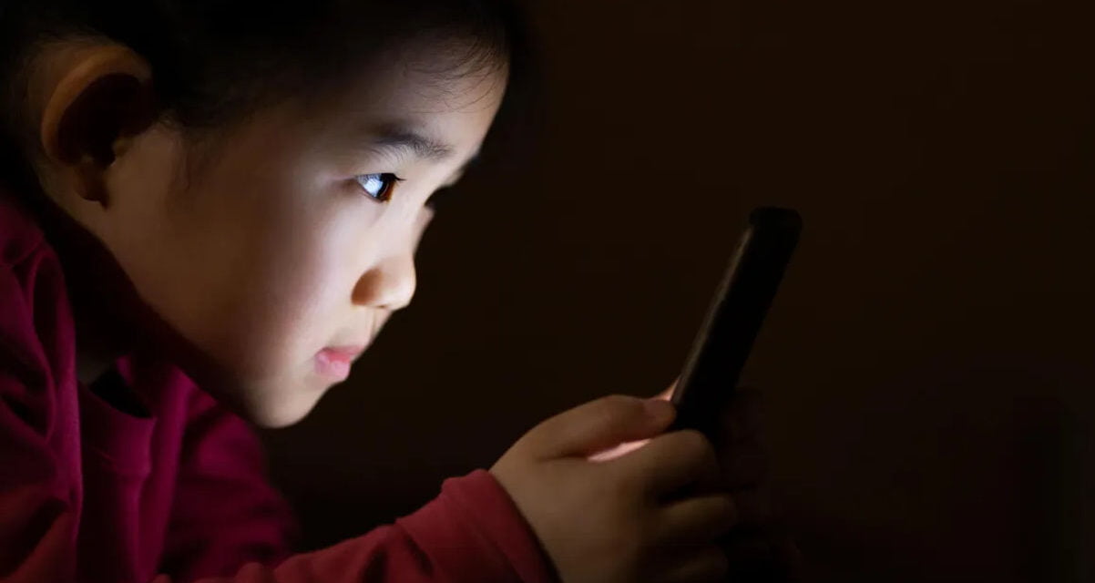 California Proposes Child Proof Internet. But They Are Idiots…