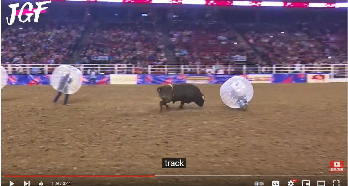 Bubble Soccer Rodeo Bull