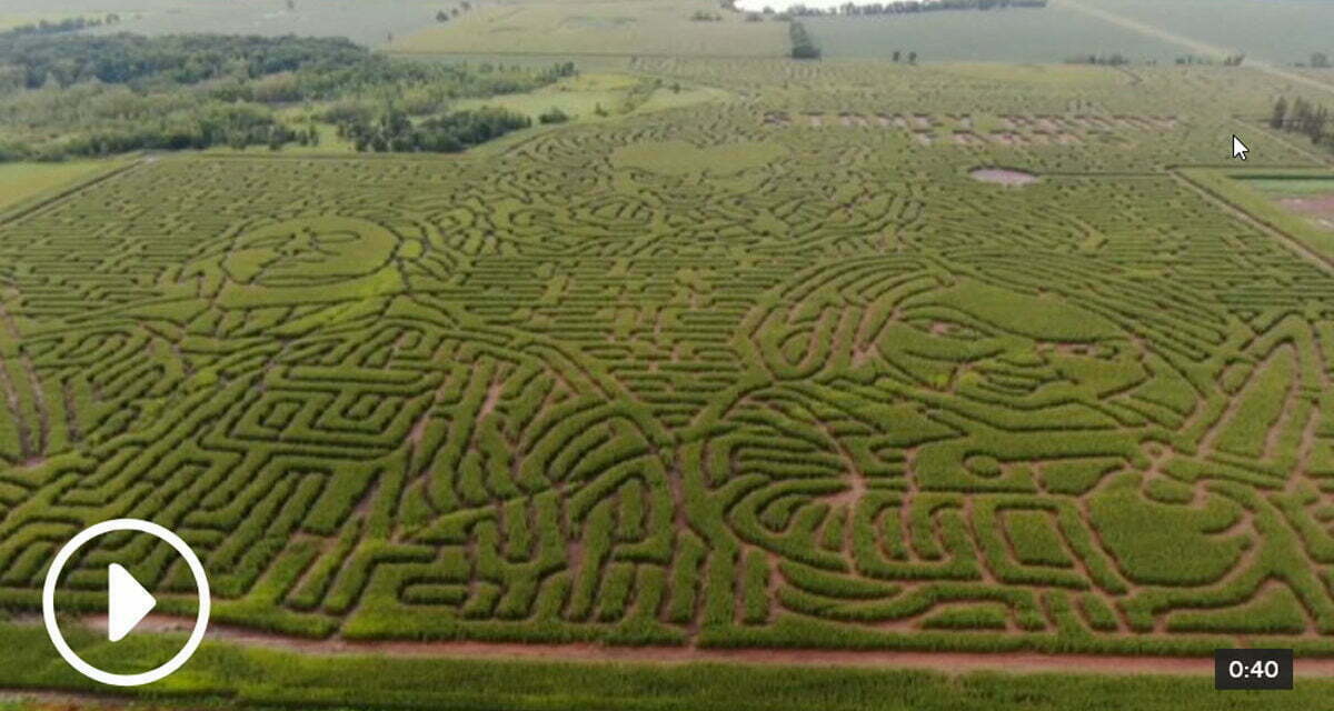 World’s Largest Maze