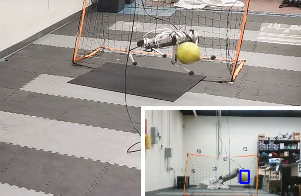 Good Doggy – Robot Dog Tends the Soccer Net