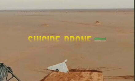 Suicide Drone