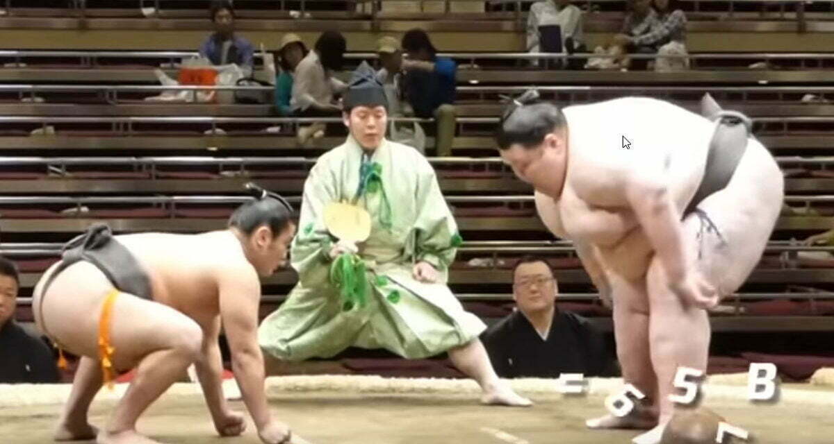 Largest Sumo Wrestler