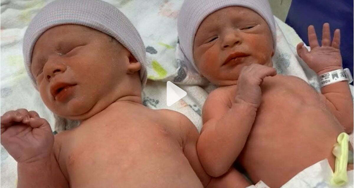 30 year old embryos born as Twins