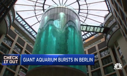 Huge Berlin aquarium bursts, spilling 1,500 fish onto road