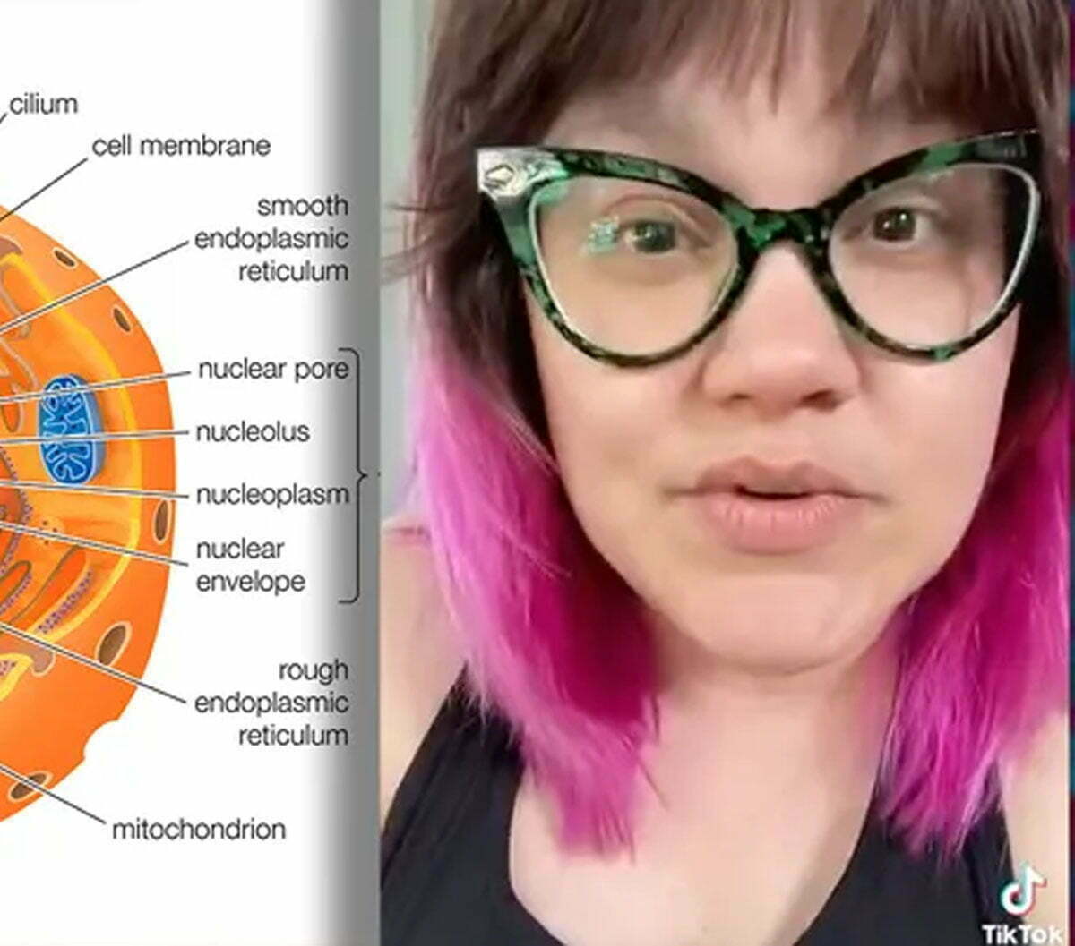 Cell biology or ‘Capitalist Indoctrination’ The Ugly Minute