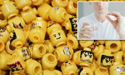 6 doctors swallowed Lego heads for science. Here’s what came out