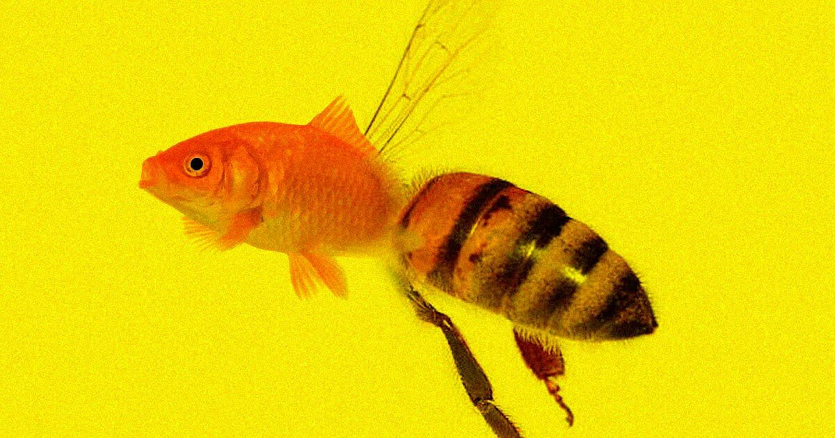 CALIFORNIA COURT RULES THAT LEGALLY, BEES CAN BE CLASSIFIED AS FISH