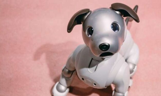 Is it OK to kick a robot dog?