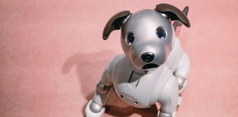 Is it OK to kick a robot dog?