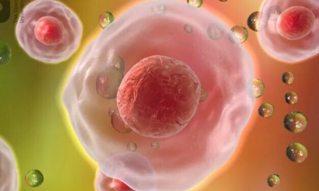 Eradicating ‘Zombie Cells’ Could Be the Key to Anti-Aging