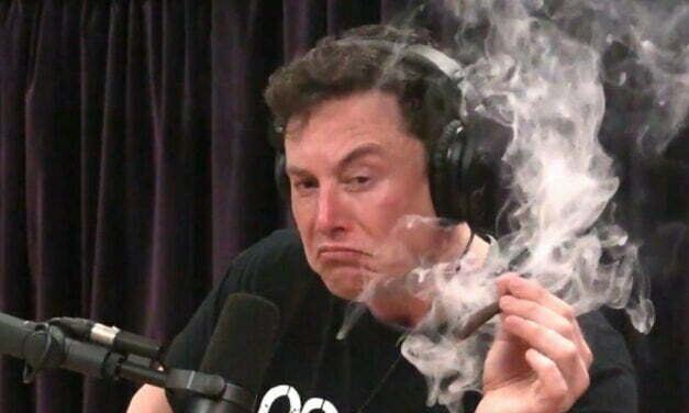 Elon Musk Calls Media ‘Racist’ In Response To Newspapers Dropping Dilbert