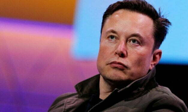 Musk tweets platform’s new ‘values’ after senator jokes about being sent to Twitter jail for hunting photo