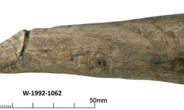 Wooden object nearly 2,000 years old suggests Romans used sex toys, study says