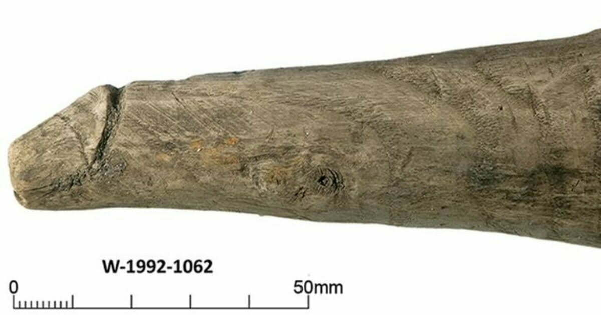 Wooden object nearly 2,000 years old suggests Romans used sex toys, study says