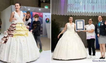 World’s largest wearable cake dress unveiled at Swiss expo