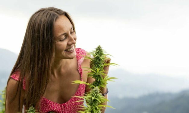 Central Florida ‘Cannamoms’ say using marijuana makes them better parents