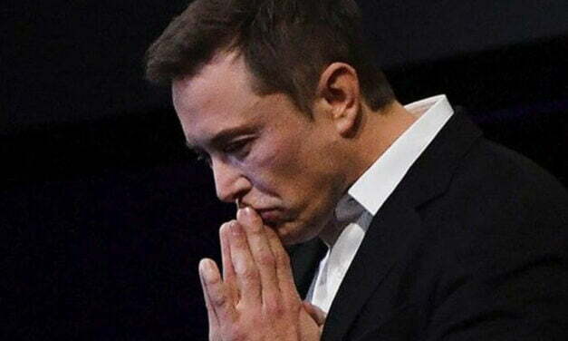 Elon Musk and experts say AI development should be paused immediately