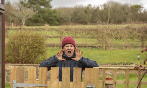 ‘My neighbour is threatening to report me for letting my daughter play in the garden’