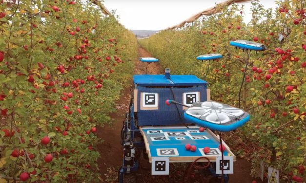 Crazy cool flying fruit robots