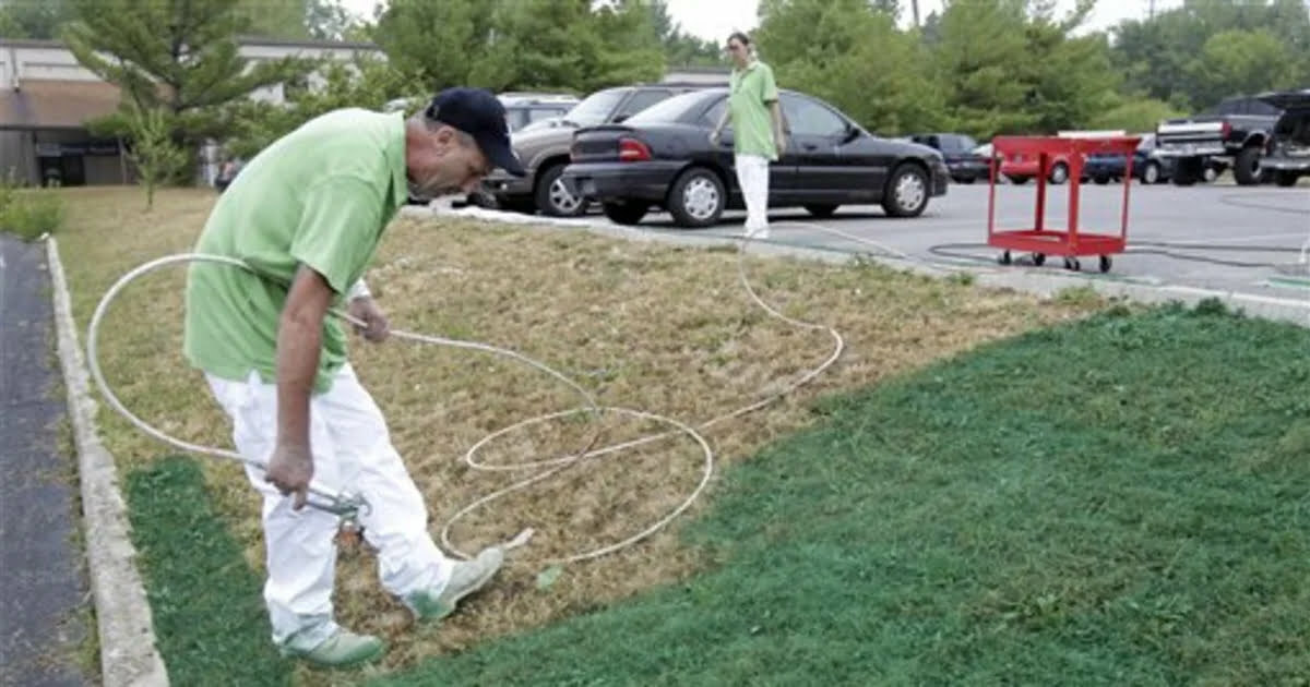 Why more and more Americans are painting their lawns