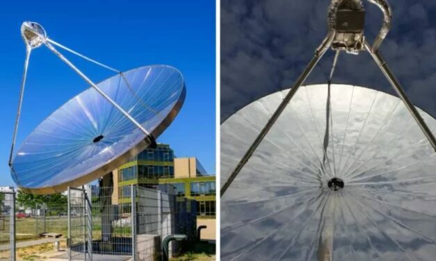 Scientists Create ‘Artificial Trees’ That Could Help Power Cities