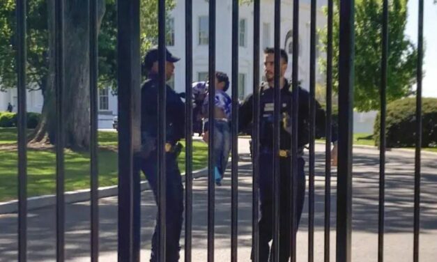 Littlest intruder: Toddler crawls through White House fence