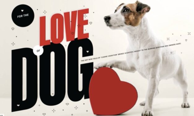 Does Your Dog Truly Love You? Science Has the Answer