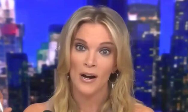 WHOA: Did Megyn Kelly Just Accept A Challenge From A Hollywood Actress For A Fight…. [VIDEO]
