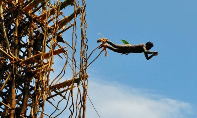 Risky Rituals: Land Diving Coming of Age Ceremony