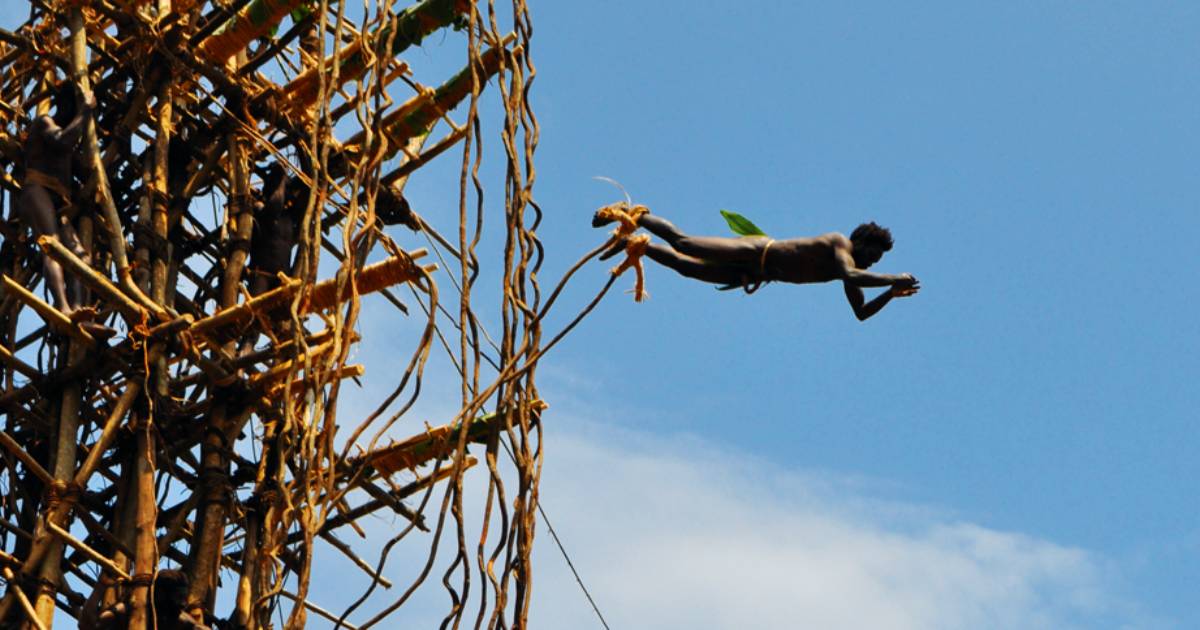 Risky Rituals: Land Diving Coming of Age Ceremony