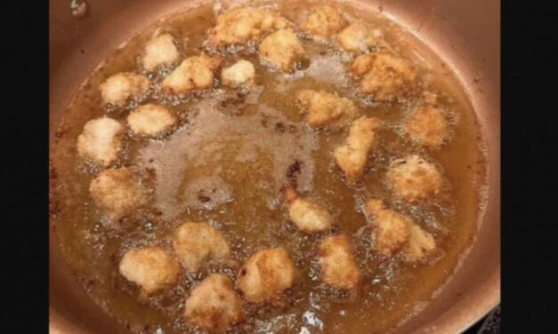 Mom Kills And Cooks The Family Pet For Dinner After It Attacks Her Child