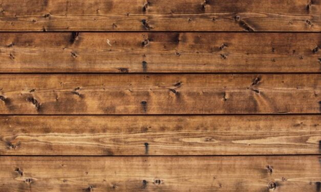 SCIENTISTS PREPARING TO LAUNCH WOODEN SATELLITE