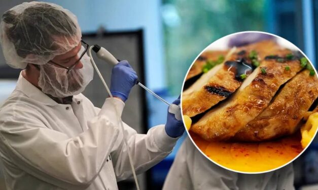 FIRST LAB GROWN MEAT PRODUCTS APPROVED FOR SALE IN US