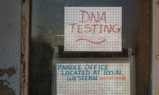 30 Y.O. Woman Takes DNA Test For Fun Only To Discover Her Long-Term Boyfriend Is Her Full Sibling