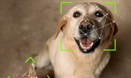 Tech company invents doggie door that uses facial recognition to let your pet in and out of the house 