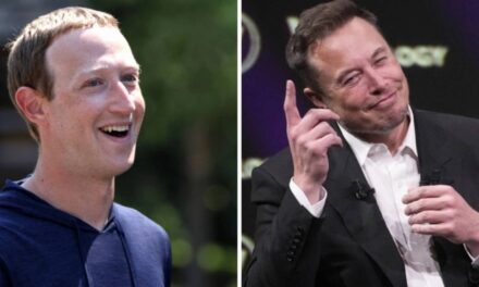 Mark Zuckerberg is ready to fight Elon Musk in a cage match