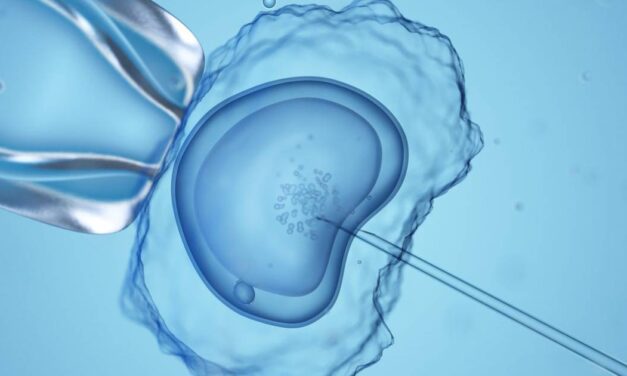Game-Changer: The First Synthetic Human Embryos Now Exist