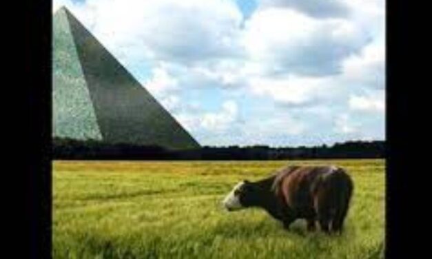 Germans Are Building a Time Pyramid Over the Next 1,000 Years