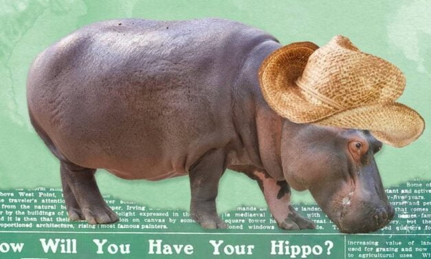 How the U.S. Almost Became a Nation of Hippo Ranchers