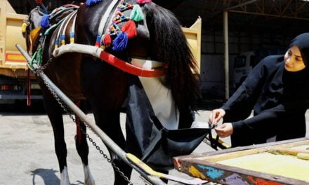 ‘Horse diapers’ keep Gaza streets clean