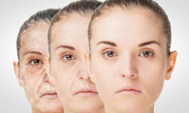 Scientists Slow Aging in Mice by Transfusing Young Blood