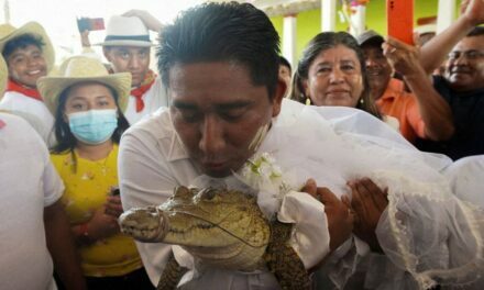 Mexico: Mayor marries alligator-like reptile who he calls ‘princess girl’