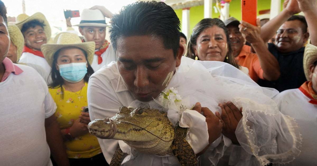 Mexico: Mayor marries alligator-like reptile who he calls ‘princess girl’