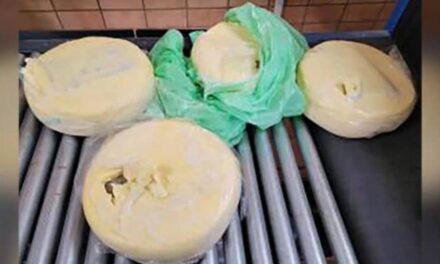 US Customs find over 17 pounds of cocaine in cheese wheels at Mexico border