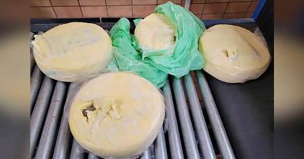 US Customs find over 17 pounds of cocaine in cheese wheels at Mexico border